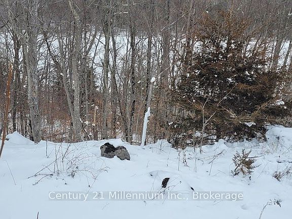 3rd image of 641 Lahey Rd