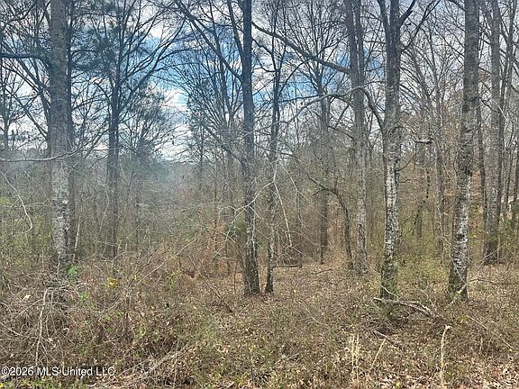 4th image of Ward Rd