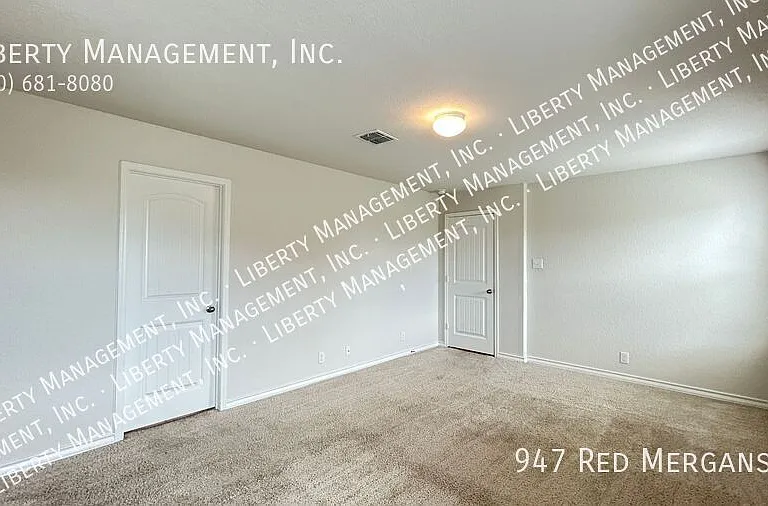 947 Red Merganser — Photo 26