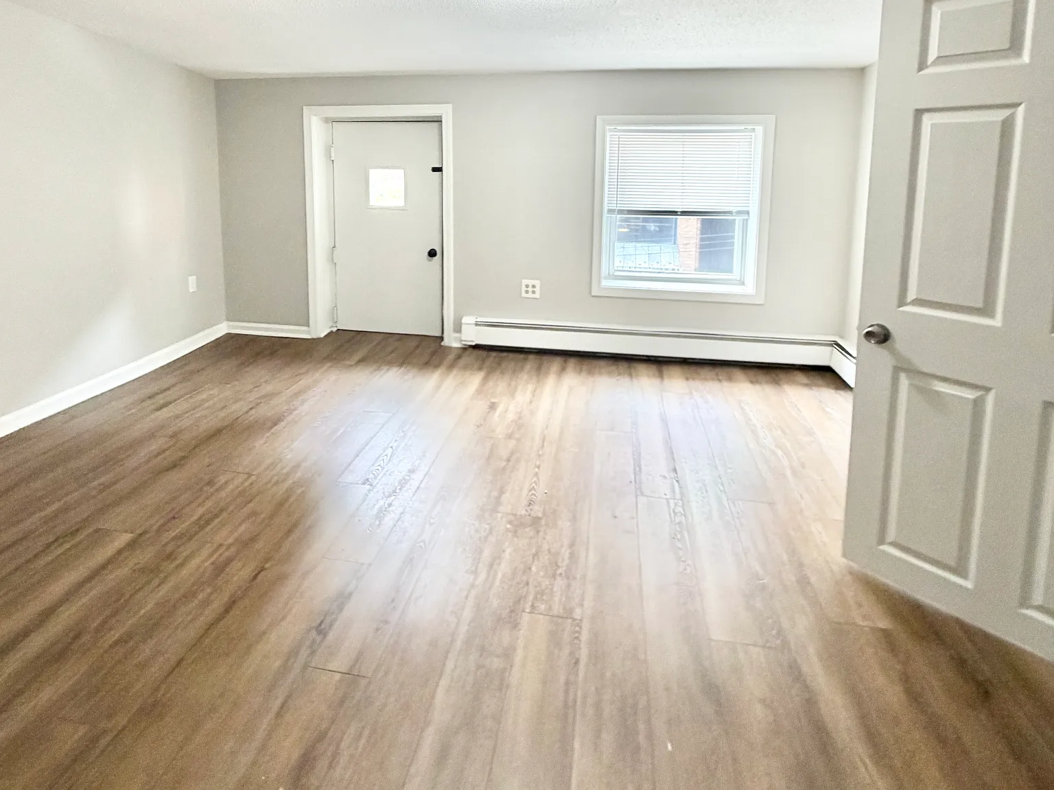 338 Orange St — Photo 4