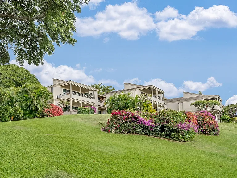 Wailea Ekolu Pl — Photo 38