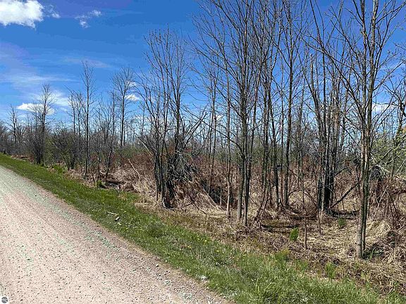 2nd image of Surfwood Rd