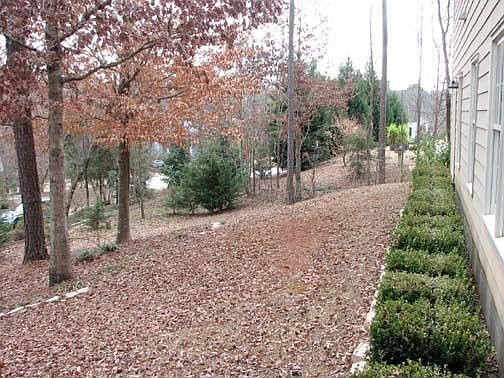 back yard