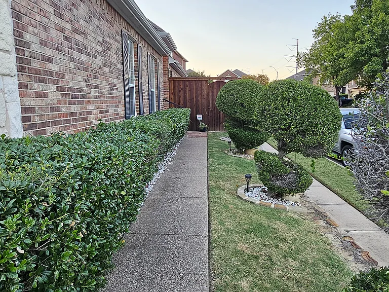 8207 Persimmon St — Photo 2