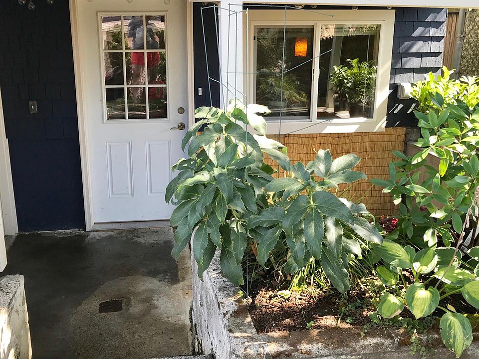Private back entrance
