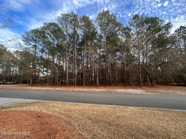264 Red Fox Run Drive, Wallace, NC 28466
