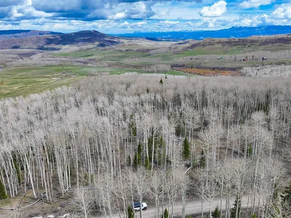 Lot 43 San Juan Vista, Placerville, CO 81430