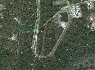 137 Raybon Ln, Nahunta, GA 31553