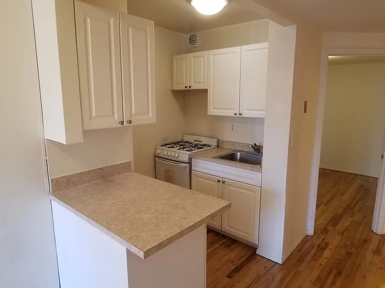333 E 95th St #3D — Photo 6