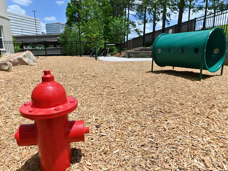 Pet Play Area at The Elden Galleria with Mulch Ground Cover and Open Space