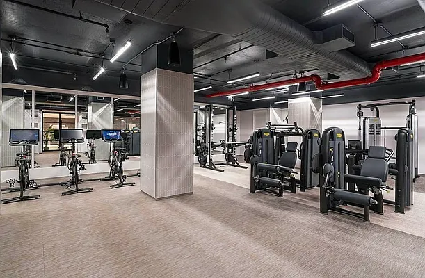 Rented by Living New York | media 38