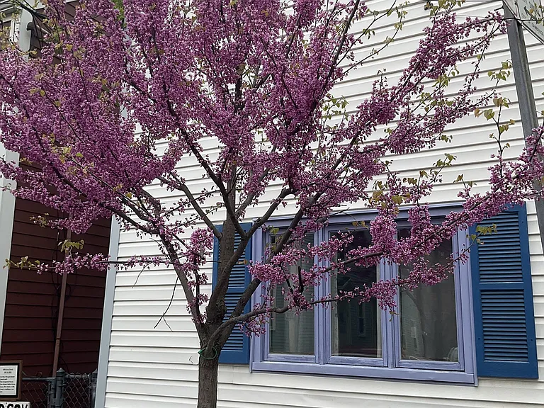 67 Gore St #2R — Photo 16
