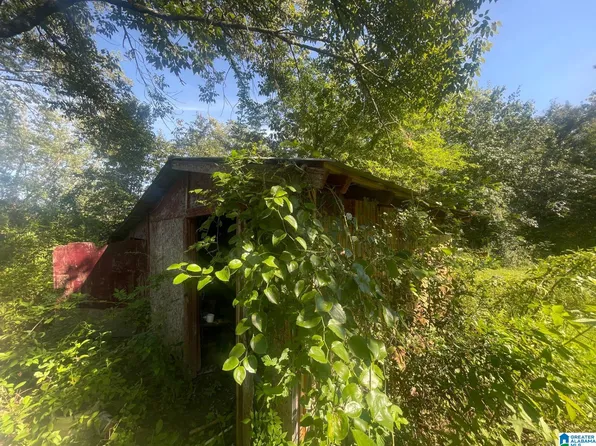 507 County Rd, Centre, AL 35960