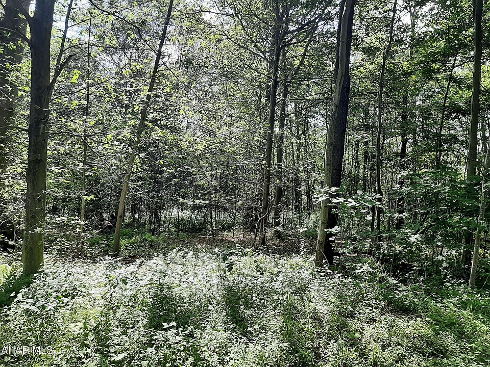 2nd image of 0 Popish Rd