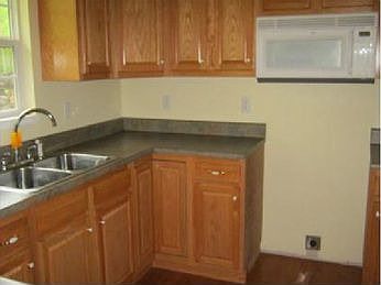 3rd image of 223 Laurens Ln