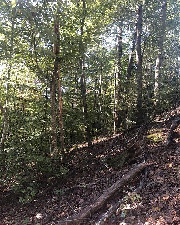 1st image of 46 Deer Acres Dr Lot 0