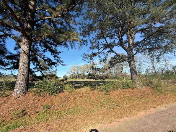 LOT 3 County Road 476 S, Henderson, TX 75654