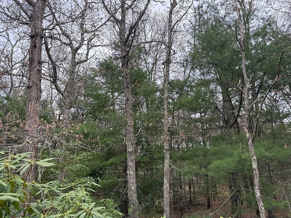2nd image of 75 Newton St