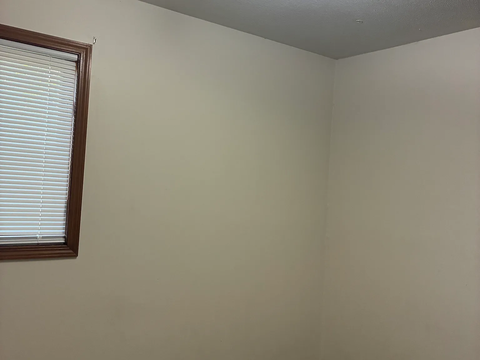 905 Tyler St — Photo 3