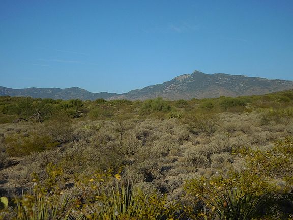2nd image of 10691 S Great Horned Owl Way