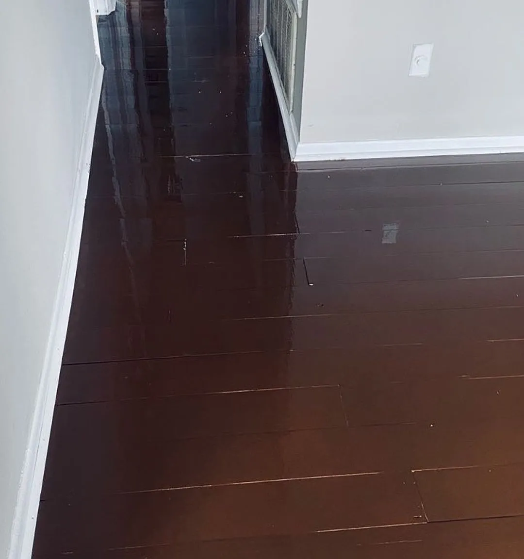 Monthly Paid Rent — Photo 4