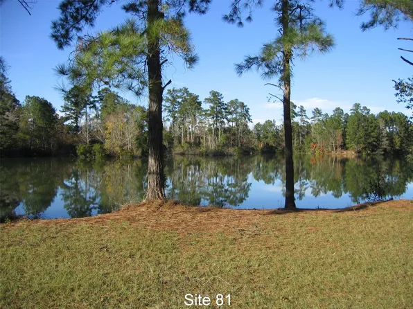 81 Pine Mdw, Cleveland, TX 77327