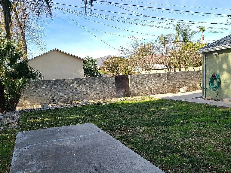 Clean backyard