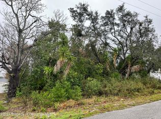 0 Dristol Ave, Spring Hill, FL 34609