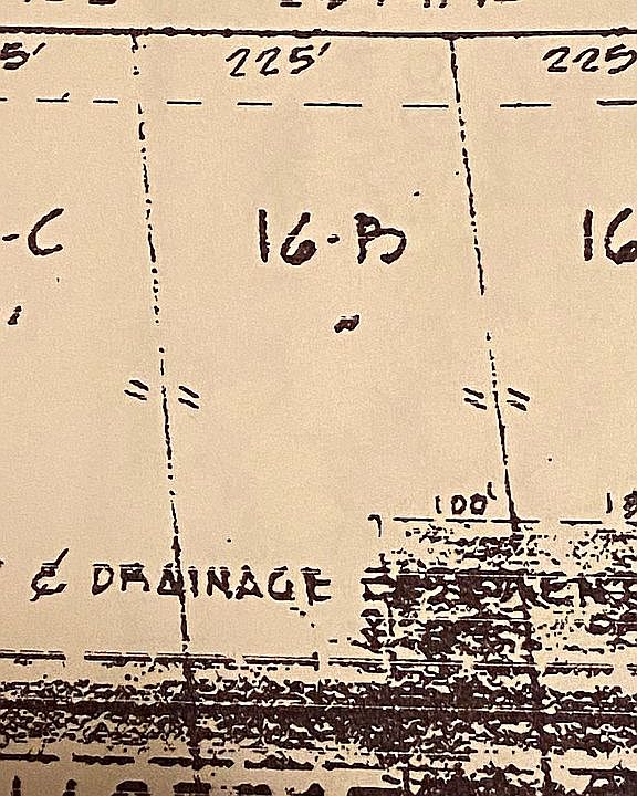 2nd image of 1943 Hillcrest Oak Dr