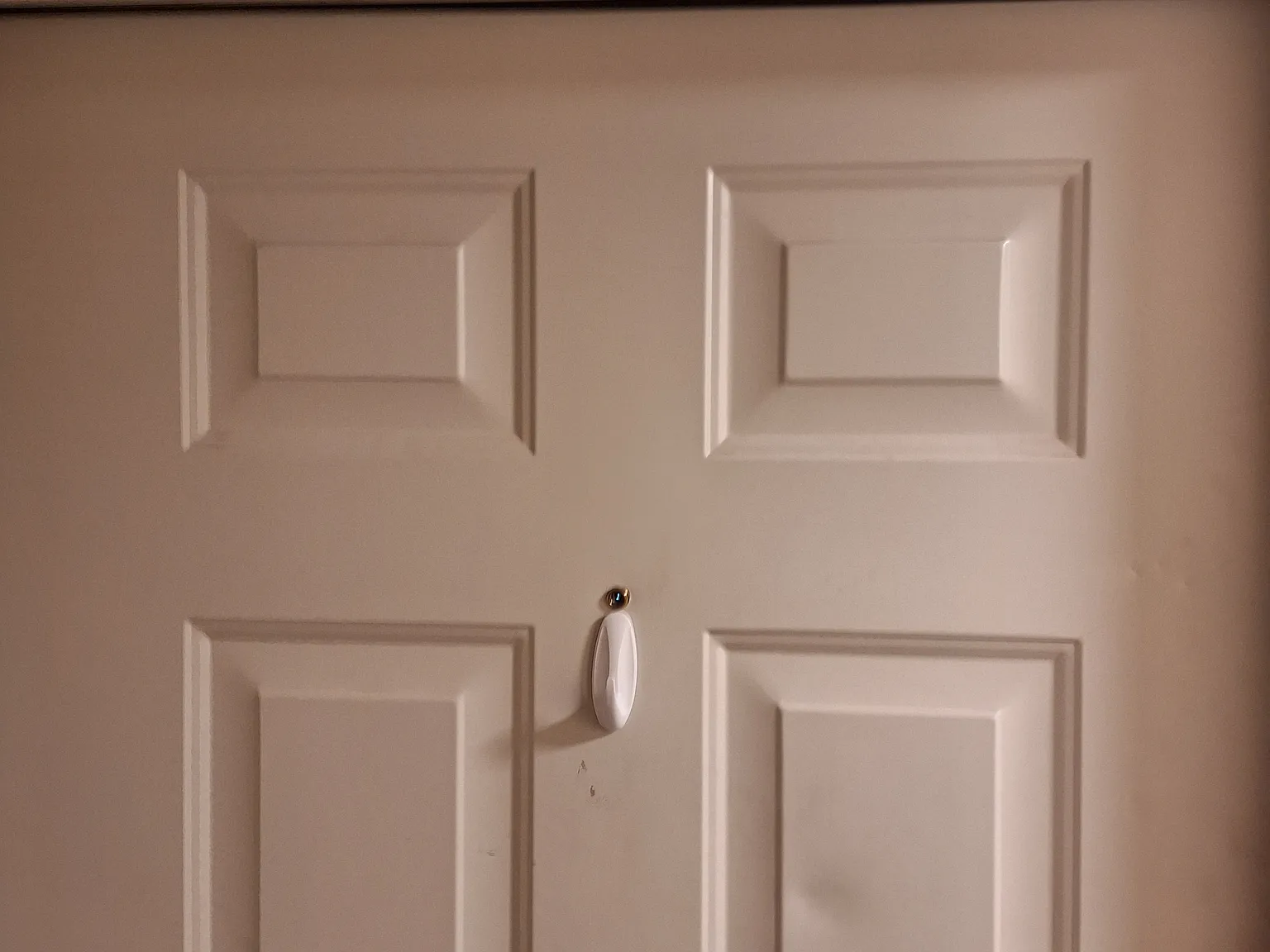 2 bed, 750 sqft, $1,000 — Photo 3