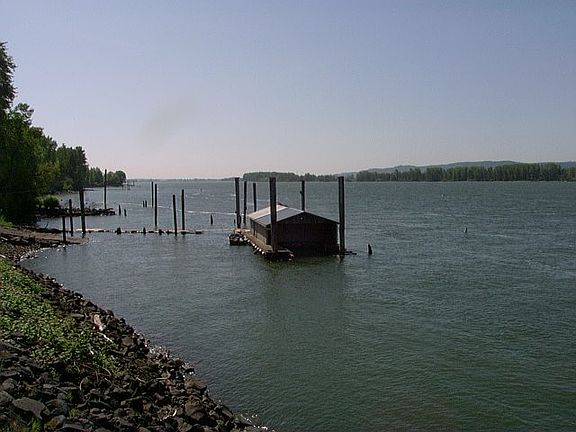 5th image of 199 Tidewater Dr