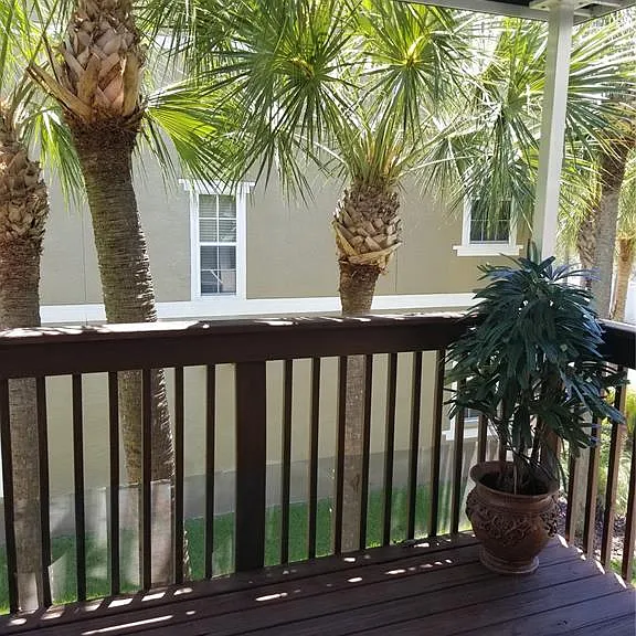 3043 Pointeview Dr — Photo 7