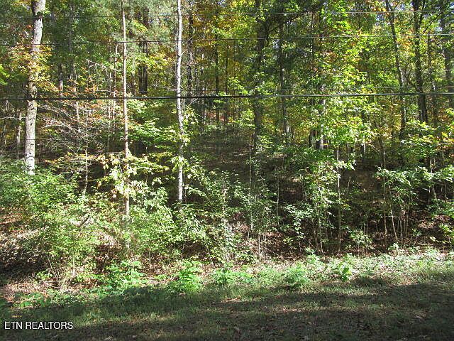 2nd image of Long Acres Rd