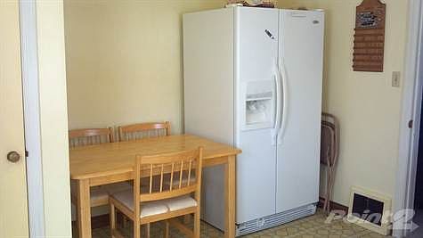 Another Kitchen view