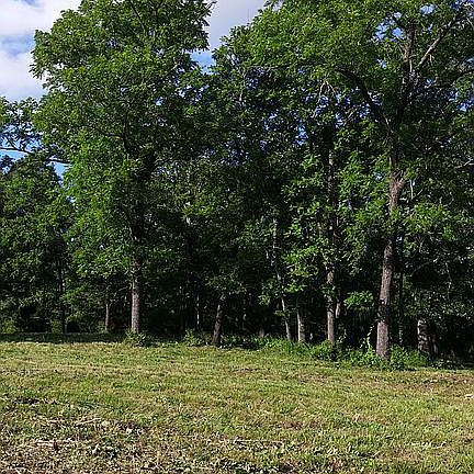 2nd image of 6.5 Acres Izard County