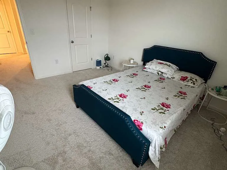 54 Horseshoe Pl — Photo 5