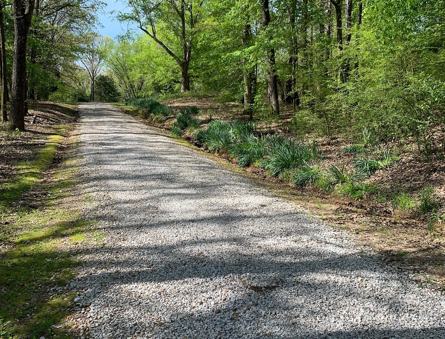295 CR 102 - 1 — Photo 4