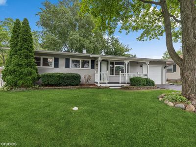329 Rosewood Ave, Buffalo Grove, IL, 60089