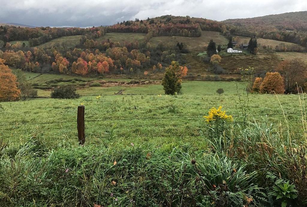 226 Jean Marie Ave, Bovina Center, NY 13740 Zillow