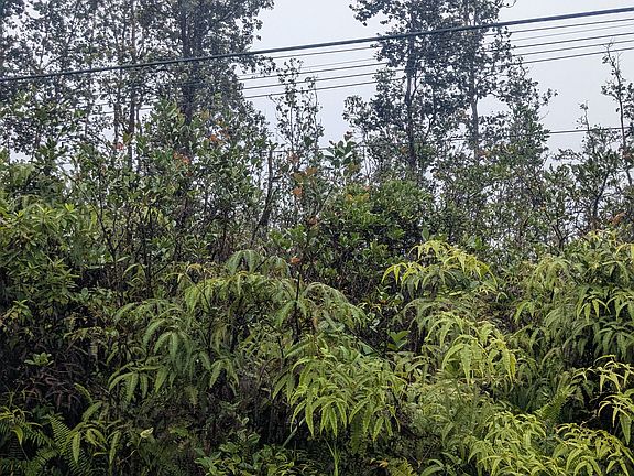 4th image of Road 3 Hopue Lot 2986