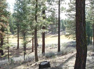 270 Fox Sparrow Dr, Portola, CA