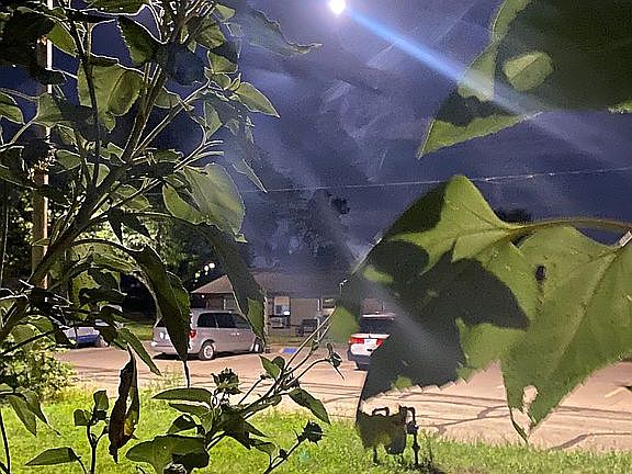2nd image of 289 W F St