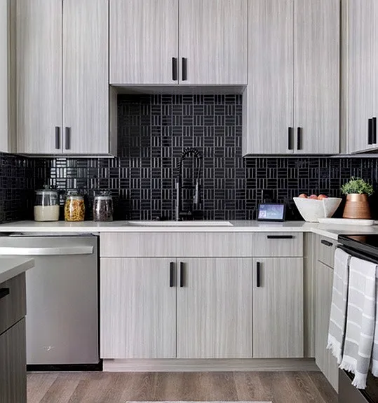 Quartz Countertops + Mosaic Tile Backsplash