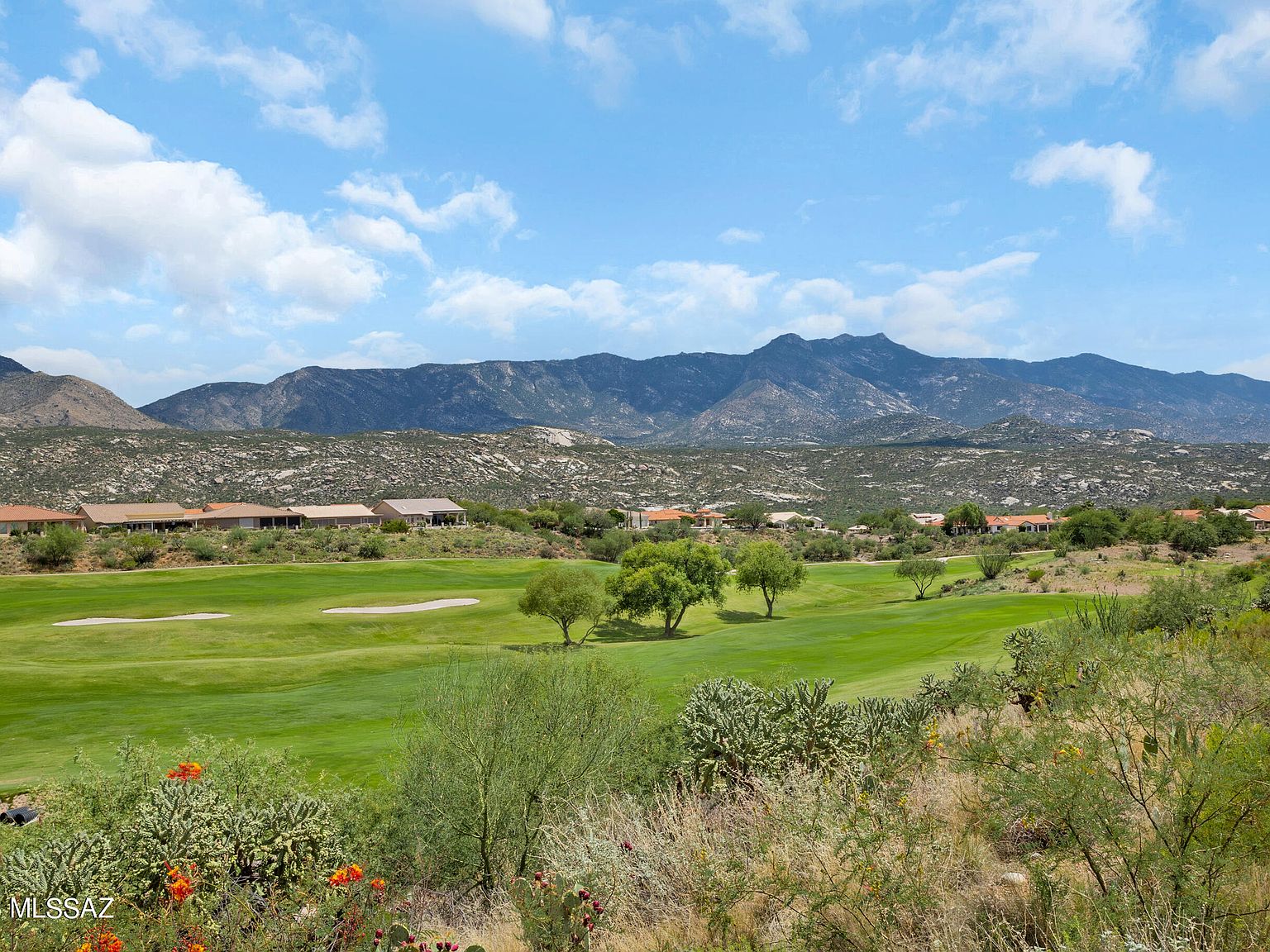 37729 S Spoon Dr, Saddlebrooke, AZ 85739 Zillow