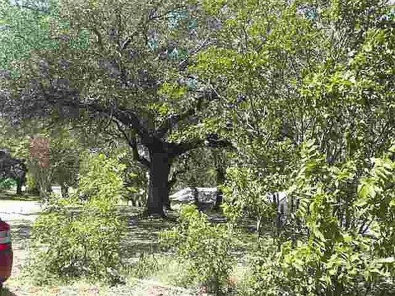 2nd image of 520 County Road 136a