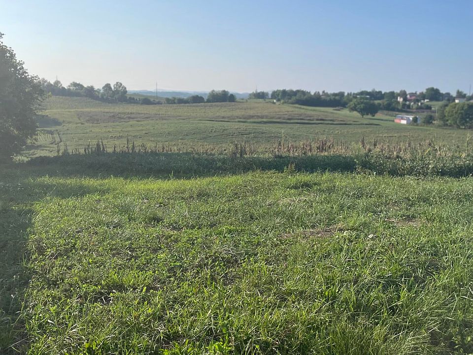 2nd image of 250 Rauhof Rd