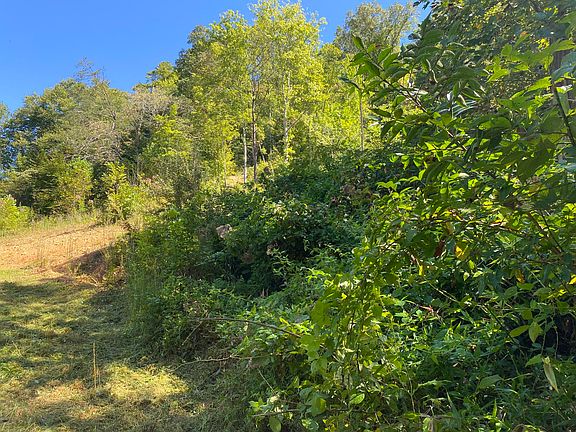 2nd image of 9842 State Highway 223