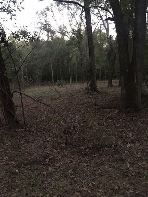 2nd image of 0 E Bryant Rd