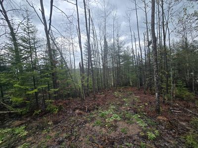 14453 W Shoreline Dr, Wolverine, MI, 49799