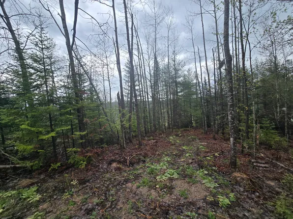 14453 W Shoreline Dr, Wolverine, MI 49799
